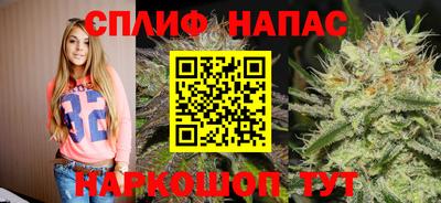 прущие грибы Апрелевка