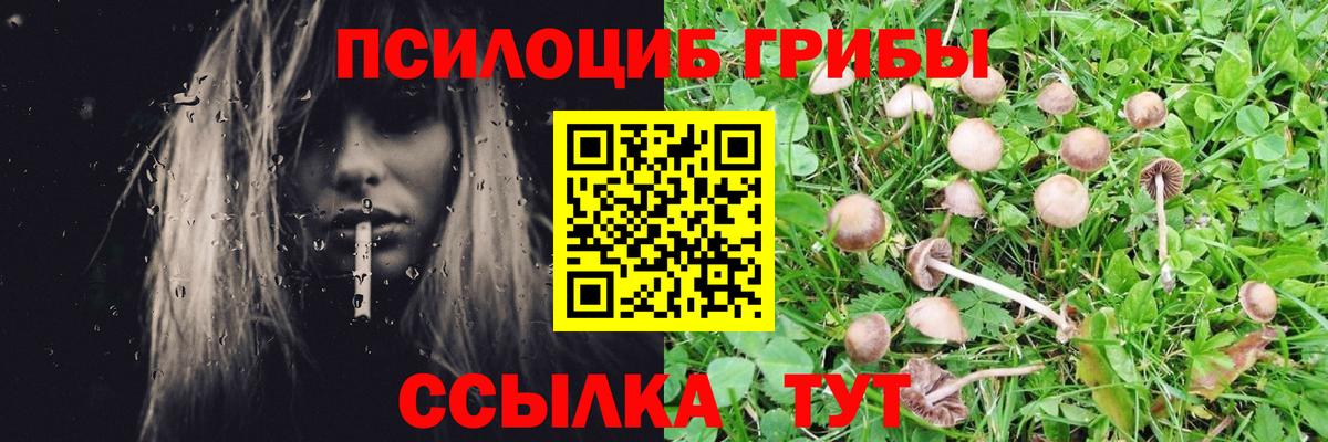 Галлюциногенные грибы Psilocybine cubensis  Вход с VPN  Псилоцибиновые грибы MAGIC MUSHROOMS  Бийск 